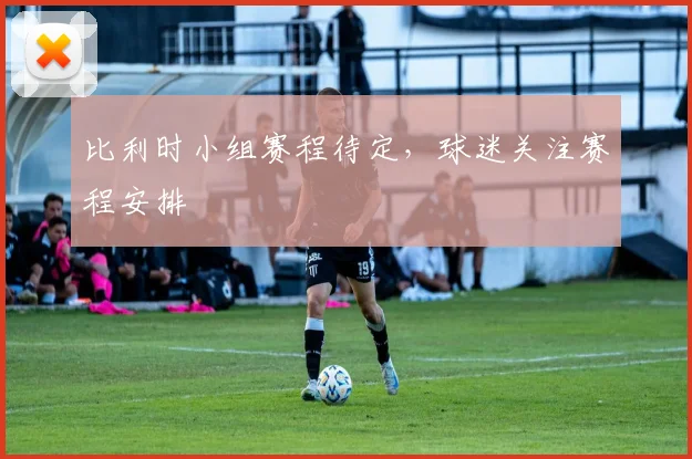 比利时小组赛程待定，球迷关注赛程安排